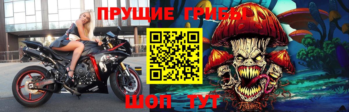 Сафоново  Псилоцибиновые грибы MAGIC MUSHROOMS  Вход с VPN  Галлюциногенные грибы Cubensis 